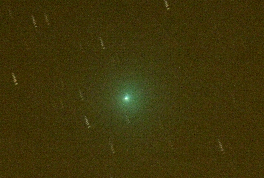 20081111 8p tuttle cutout