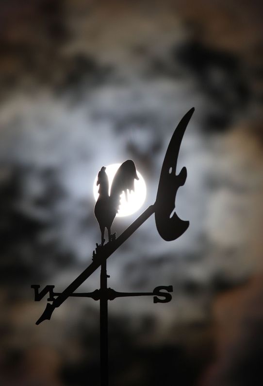 IMG_8574 extreme sharp & cut