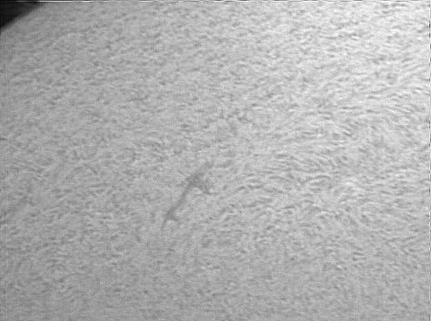 video0005 10-03-19 17-00-22_SI sharp