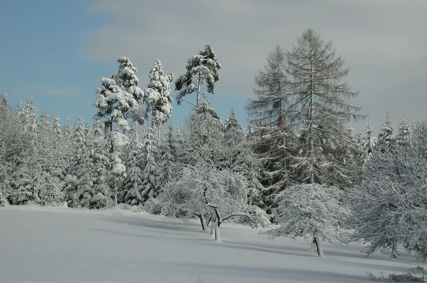 winterlandschaft beuren